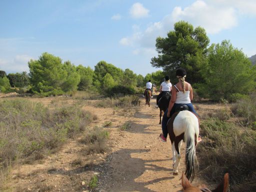 Centro Hípico Sierra Helada, El Albir, Spanien, Ausritt mit acht Pferden