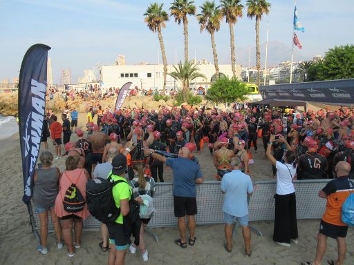 Open water Oceanman® Benidorm 2021, Benidorm, Spanien, Startbereich am Playa Malpas Start 5 Kilometer