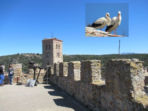 Stadtmauer und Ausstellung Waffen Mittelalter, Buitrago del Lozoya, Spanien, Kirchturm Santa María del Castillo mit Storchenpaaren