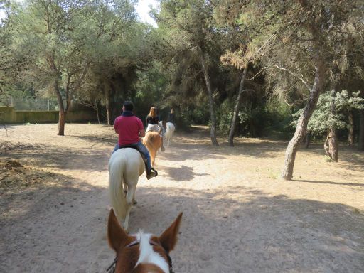Eddi’s Club Hípico, Cala Ratjada, Mallorca, Spanien, Ausritt mit sechs Pferden
