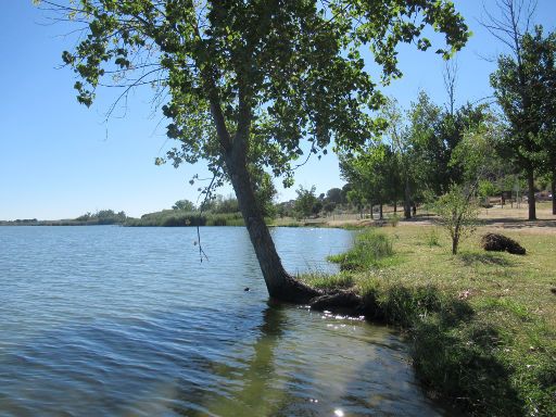 Stausee von Cazalegas, Cazalegas, Spanien, Uferbereich mit Bäumen und Wiese