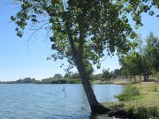 Stausee von Cazalegas, Cazalegas, Spanien, Uferbereich mit Bäumen und Wiese