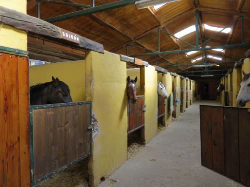 Centro Hípico Los Ciruelos, Cercedilla, Madrid, Spanien, Reiterhof mit Stallungen