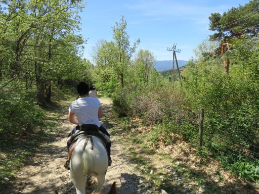 Centro Hípico Los Ciruelos, Cercedilla, Madrid, Spanien, Ausritt mit zehn Pferden