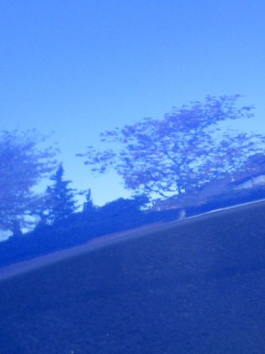 Dodge Challenger Schaden behoben am 26. November 2025