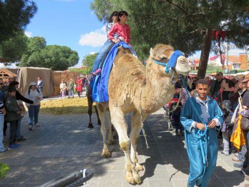 Feria Medieval Mittelalter Markt, El Álamo, Spanien, Dromedar oder Kamel Reiten für Kinder oder Erwachsene