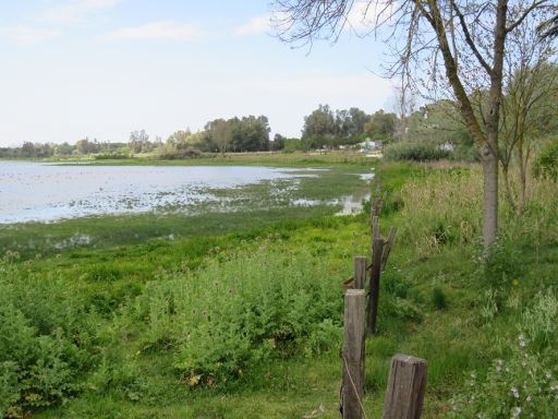 El Rocío, Spanien, Ufer vom Marismas del Rocio