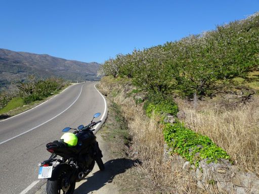 Extremadura, Spanien, Valdastillas, Kirschbäume