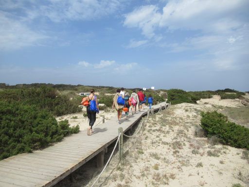 XIV Copa Marnaton eDreams, Schwimmwettbewerb 2025, Formentera, Spanien, Gang zum Startpunkt