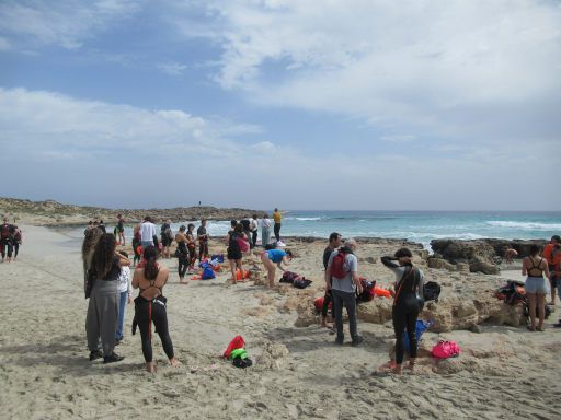 XIV Copa Marnaton eDreams, Schwimmwettbewerb 2025, Formentera, Spanien, Start 2 Kilometer Playa Es Trucadores