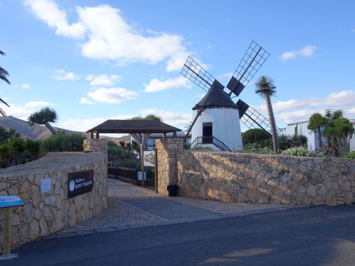 Fuerteventura, Spanien, Museo del Queso Majorero