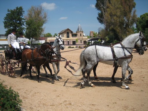 Fundación Real Escuela Andaluza del Arte Ecuestre, Jerez de la Frontera, Spanien, Pferdegespann