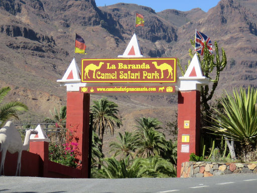 Camel Safari Park La Baranda, Fataga, Gran Canaria, Spanien, Einfahrt an der Landstraße GC-60