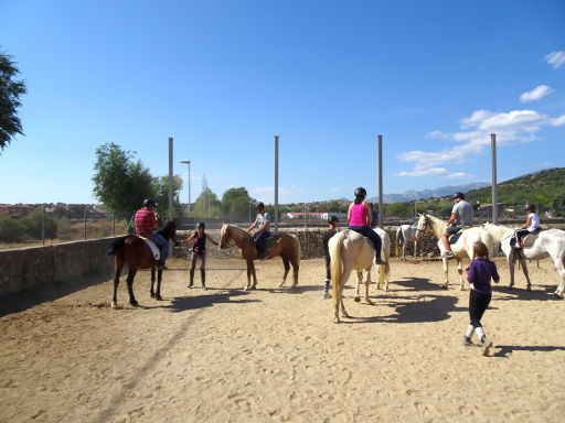 Hípica Guadalix, Pferd Ausritt, Guadalix de la Sierra, Spanien, Pferde auf dem Reitplatz