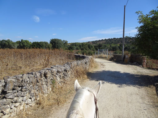 Hípica Guadalix, Pferd Ausritt, Guadalix de la Sierra, Spanien, Ausritt auf dem Feldweg