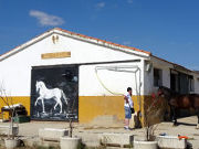 Hípica Guadalix, Pferd Ausritt, Guadalix de la Sierra, Spanien, Stall mit Boxen