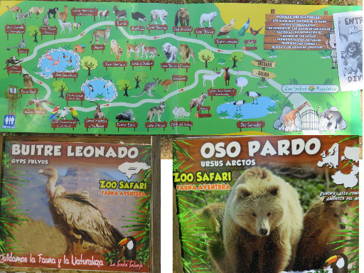 Zoo Safari Fauna Aventura, Hinojosa de San Vicente, Madrid, Spanien, Übersichtsplan und Kurzinformation Tiere