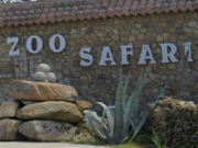 Zoo Safari Fauna Aventura, Hinojosa de San Vicente, Madrid, Spanien, Parkplätze und Eingang
