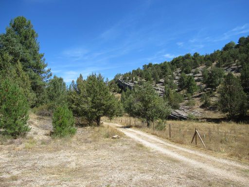 Cañón del Río Lobos, Hontoria del Pinar, Spanien, Wanderweg