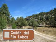 Cañón del Río Lobos, Hontoria del Pinar, Spanien, Wanderweg