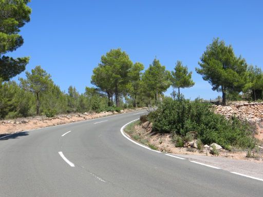 Ibiza, Spanien, Mietwagen Strecke PM–812 Sant Antoni – Santa Agnes de Corona, Straße am höchsten Punkt der Strecke