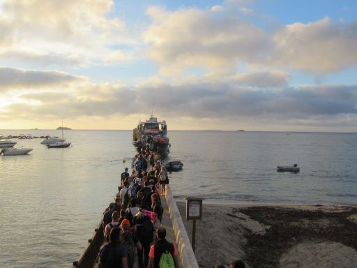 ibiziOWS 2025, Ibiza, Spanien, Bootanleger Playa d’en Bossa