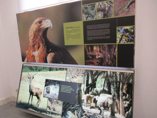 Museo de La Carolina, La Carolina, Spanien, Natur mit Tieren der Umgebung