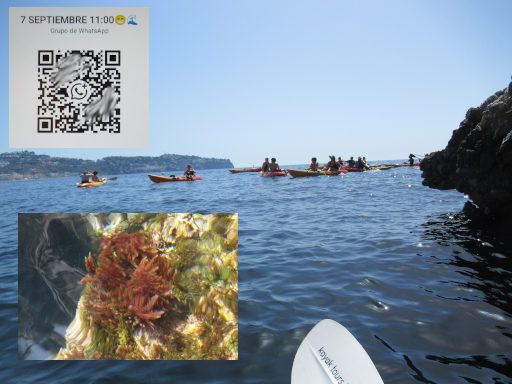 Soul Kayak Tours, La Herradura, Spanien, dritter Halt Schnorchel und QR Code Fotos