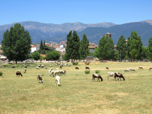 Centro Hípico Tietar, La Iglesuela, Spanien, Wiese vor dem Reiterhof