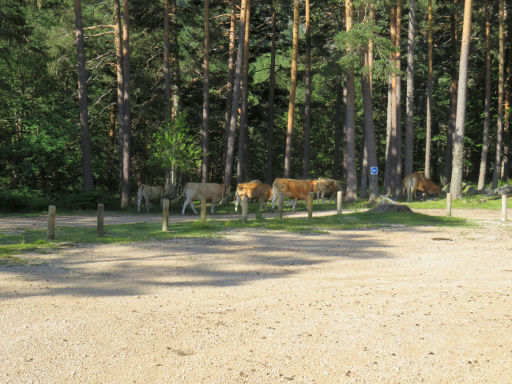 La Laguna negra, Soria, Spanien, Parkplatz im Naturpark