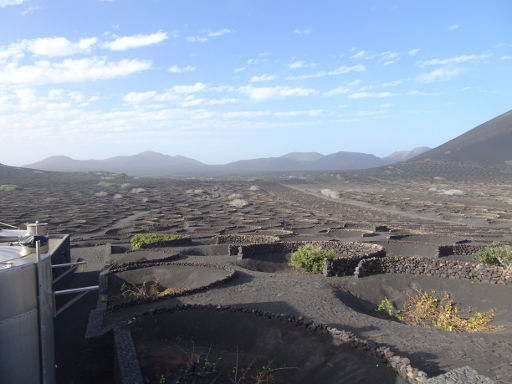 Bodega La Geria, Weingut, La Geria, Lanzarote, Spanien, Weinanbaugebiet