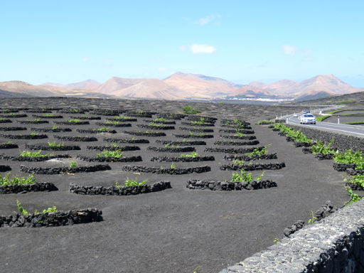 Bodegas Rubicón, Weingut, La Geria, Lanzarote, Spanien, Weinanbaugebiet an der Carretera Teguise – Yaiza / LZ–30 La Geria