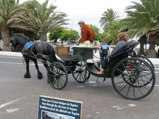 Wochenmarkt am Sonntag, Teguise, Lanzarote, Spanien, Kutschfahrten