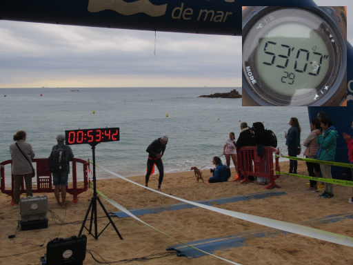 V. Travessia Les Platges de Lloret, Schwimmwettbewerb 2025, Lloret de Mar, Spanien, Ziel am Strand für 3000m und 1500 m Strecke