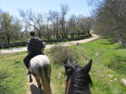 Prados Monteros Centro Hípico, Los Molinos, Madrid, Spanien, Ausritt mit sechs Pferden