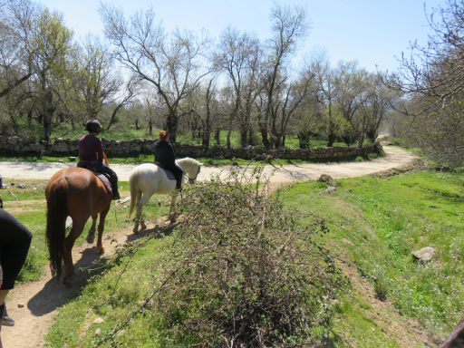 Prados Monteros Centro Hípico, Los Molinos, Madrid, Spanien, Feldwege