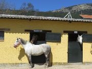 Prados Monteros Centro Hípico, Los Molinos, Madrid, Spanien, Reiterhof