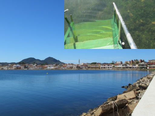 III. Traves&iacute;a Nataci&oacute;n Mar Menor 2026, Los Nietos, Spanien, Wasserqualit&auml;t