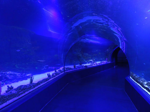 Atlantis Aquarium, Madrid, Spanien, Glastunnel