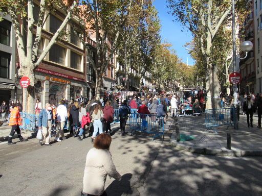 El Rastro de Madrid, Madrid, Spanien, Marktzugang am 22.11.2020 Absperrungen, Polizei, Ordner