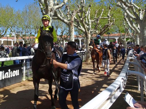 Hipódromo de la Zarzuela, Pferderennen, Madrid, Spanien, Pferde mit Reitern im Paddock