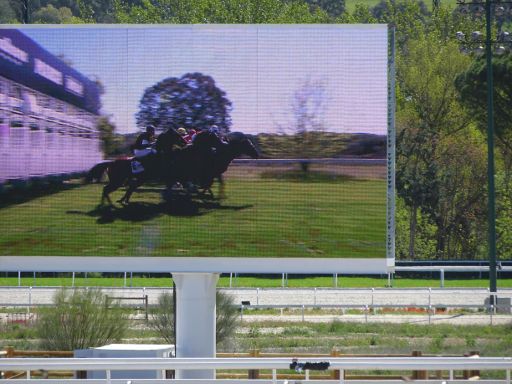 Hipódromo de la Zarzuela, Pferderennen, Madrid, Spanien, Start vom Rennen auf dem Bildschirm