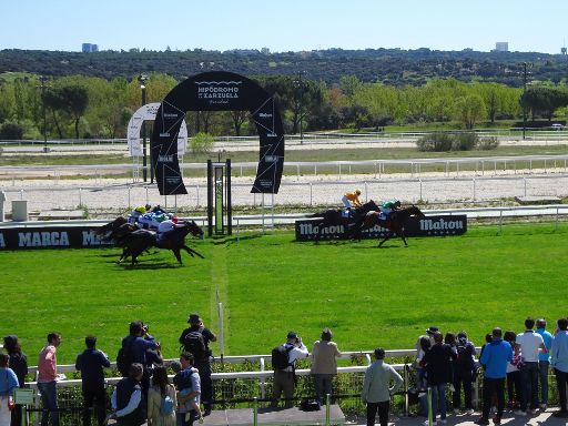 Hipódromo de la Zarzuela, Pferderennen, Madrid, Spanien, Zieleinlauf