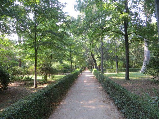 Retiro Park, Madrid, Spanien, Wald