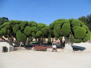 Retiro Park, Madrid, Spanien, El Parterre