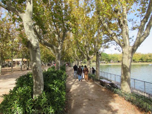 Lago de la Casa de Campo, Madrid, Spanien, Fußweg mit Baumallee