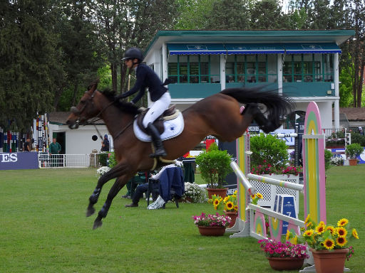 Longines Global Champions Tour Madrid 2019, Madrid, Spanien, Pferd im Sprung über das Hindernis, abgeworfene Stange