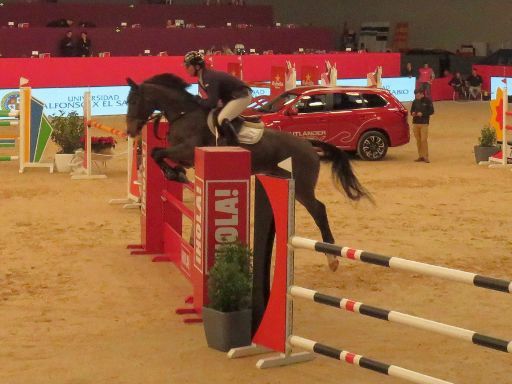 Madrid Horse Week 2017, Madrid, Spanien, Springreitturnier