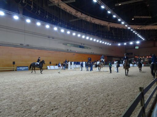 Madrid Horse Week 2018, Madrid, Spanien, Reitplatz in der Halle 12