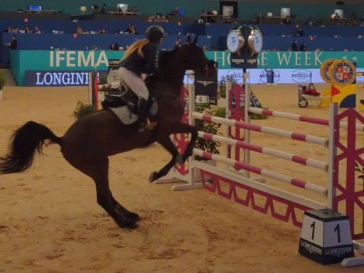 Madrid Horse Week 2018, Madrid, Spanien, Pferd im Sprung vor dem Hindernis